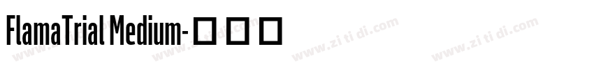 FlamaTrial Medium字体转换